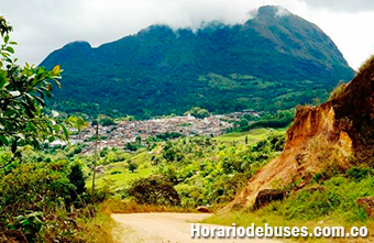 bus bolivar cauca