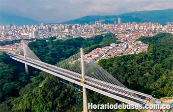 bus bucaramanga