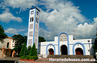 bus campoalegre huila