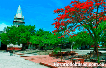 bus coyaima tolima