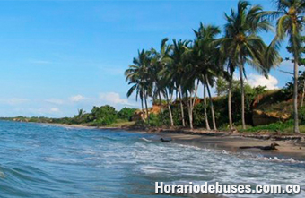 bus dibulla la guajira