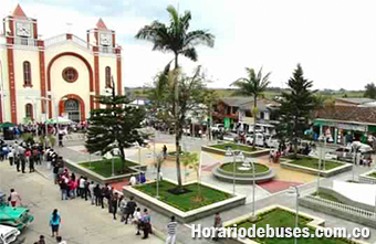 bus el tambo cauca