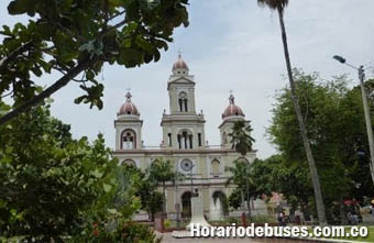 bus espinal tolima