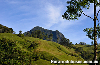 bus fredonia antioquia