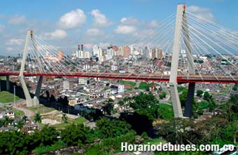bus pereira