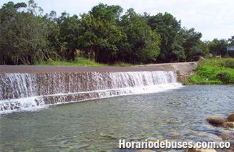 bus tauramena casanare