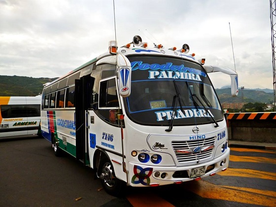 Coodetrans palmira