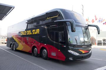 buses cruz del sur